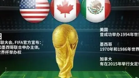 伊布膝伤恢复不顺，面临手术可能